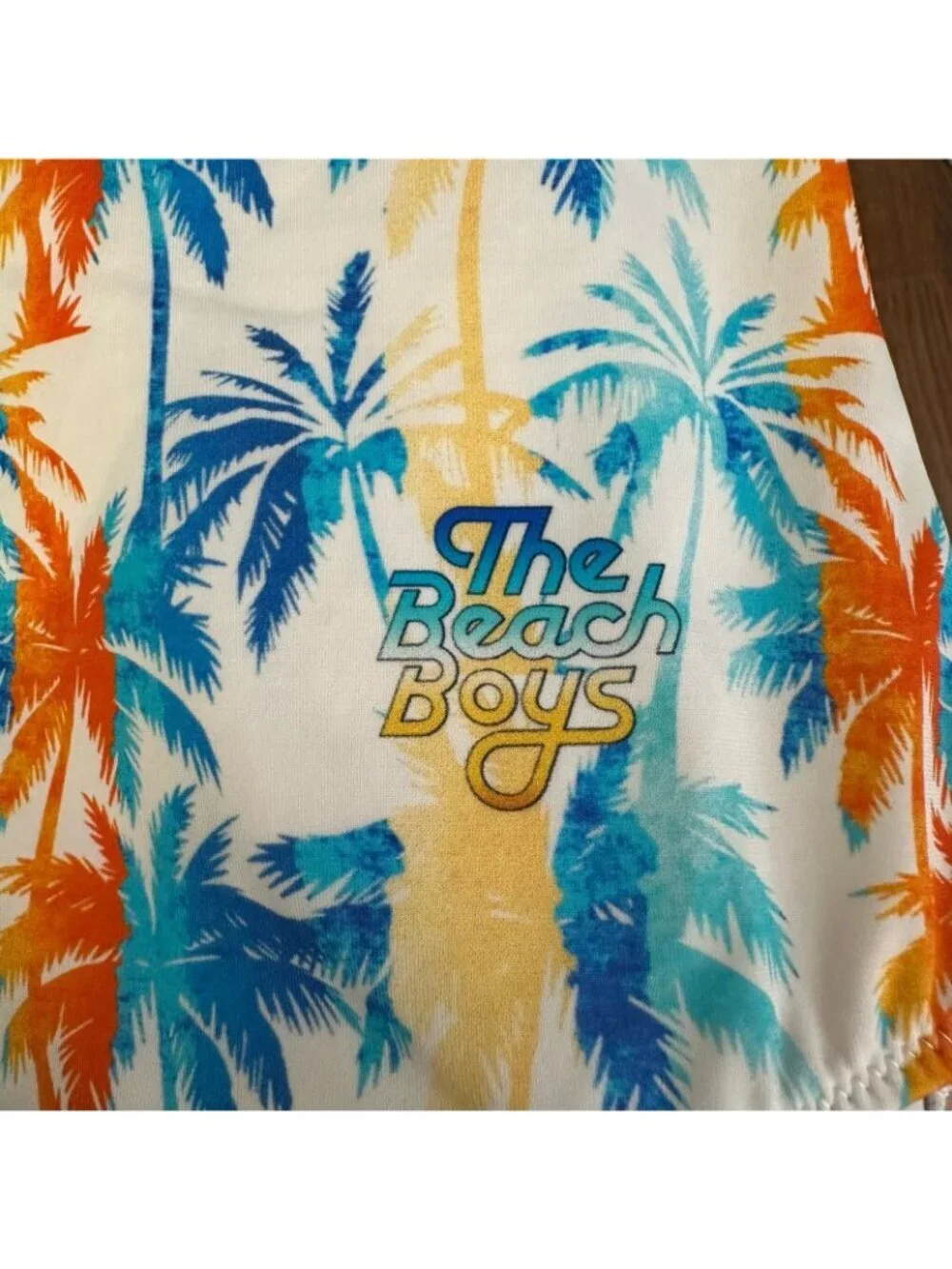 Vilebrequin The Beach Boys one piece Swimsuit
